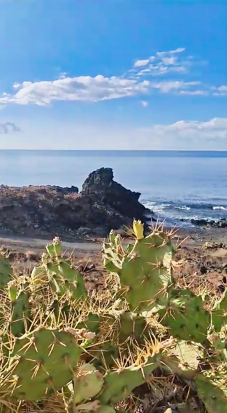Casa Palmu Apartment - A Peaceful And Relaxing Oasis In Golf Del Sur, Tenerife San Miguel de Abona Luaran gambar