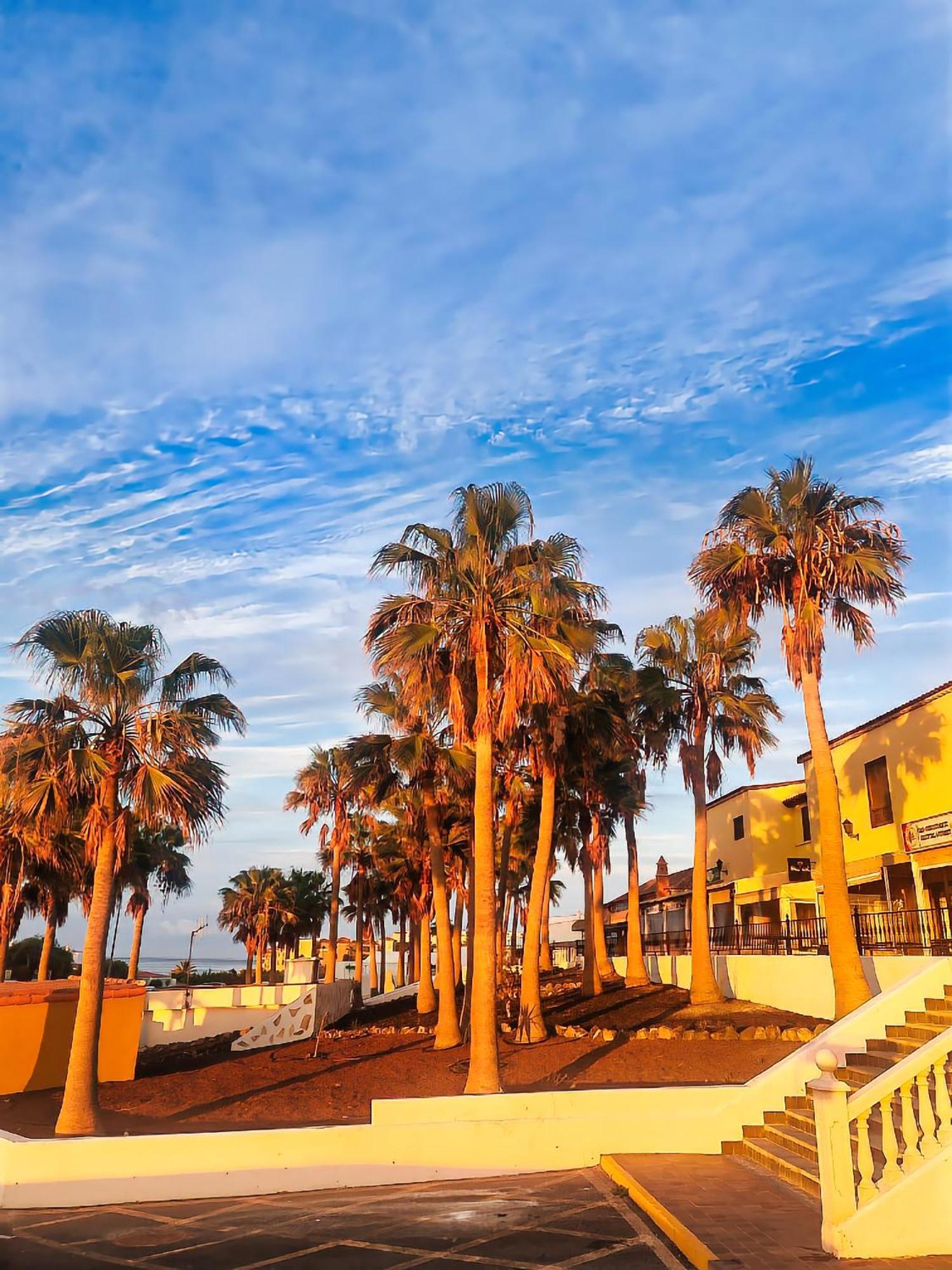 Casa Palmu Apartment - A Peaceful And Relaxing Oasis In Golf Del Sur, Tenerife San Miguel de Abona Luaran gambar