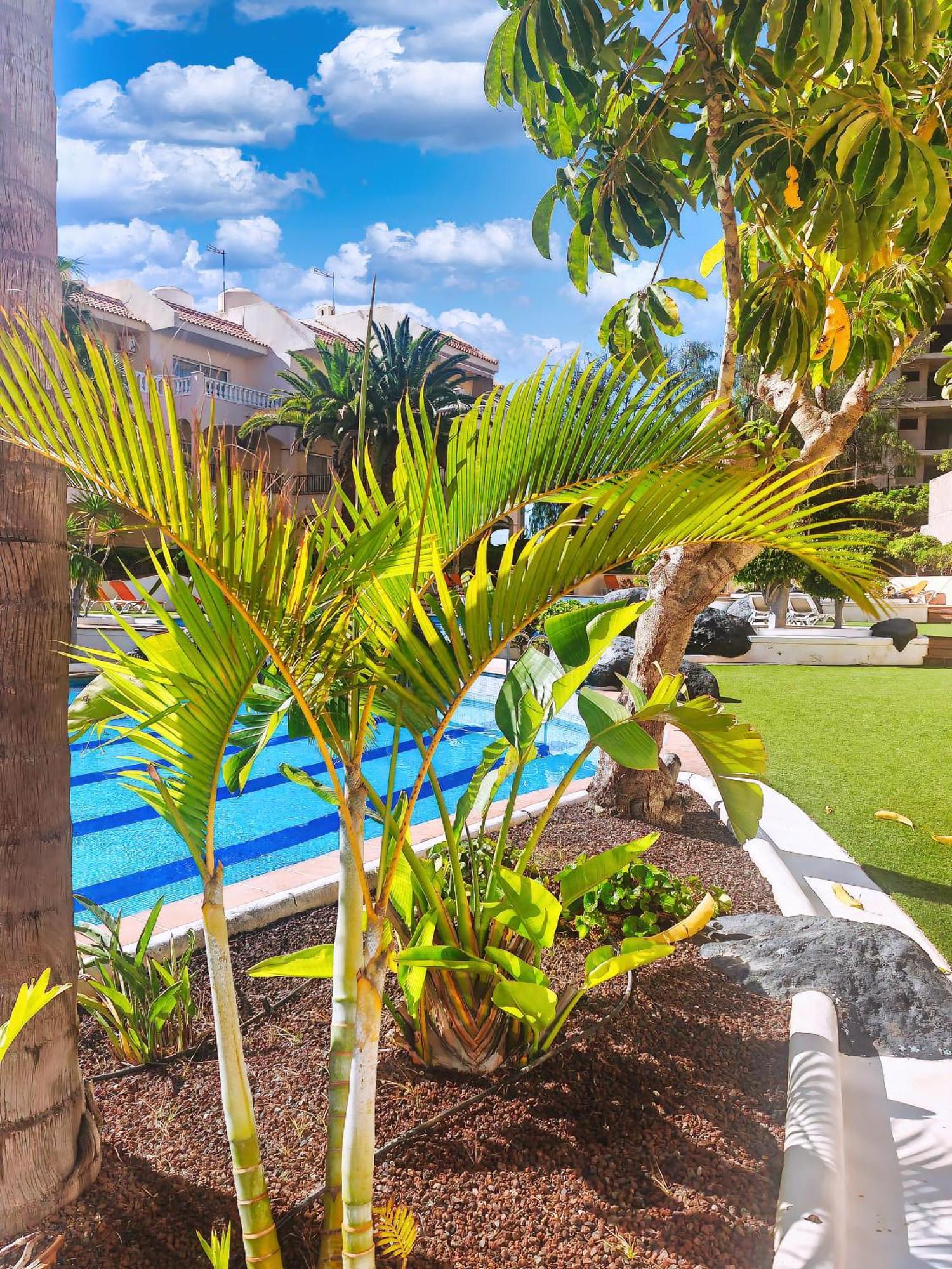 Casa Palmu Apartment - A Peaceful And Relaxing Oasis In Golf Del Sur, Tenerife San Miguel de Abona Luaran gambar